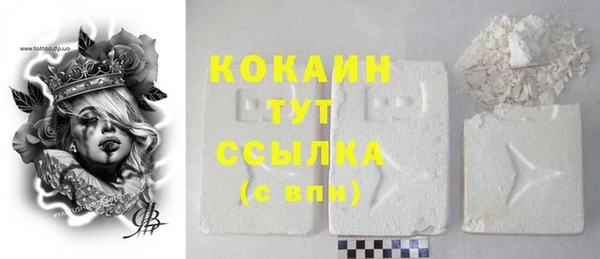прущие грибы Михайловск