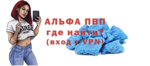 прущие грибы Михайловск