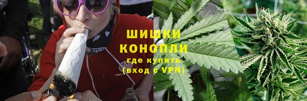 прущие грибы Михайловск