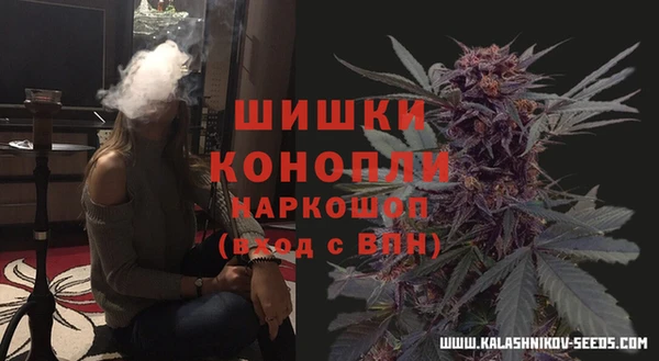 винт Надым