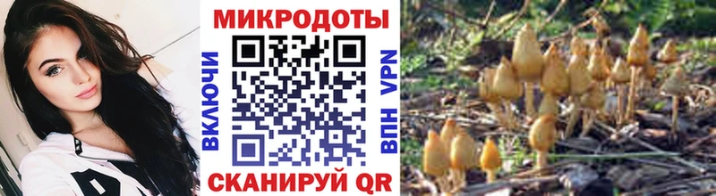 Псилоцибиновые грибы Cubensis  Мамоново 